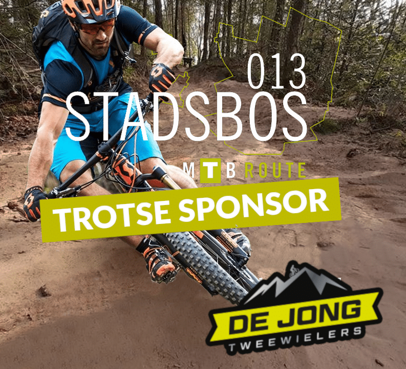 DeJongTweeWielers_Gazelle_E-bike