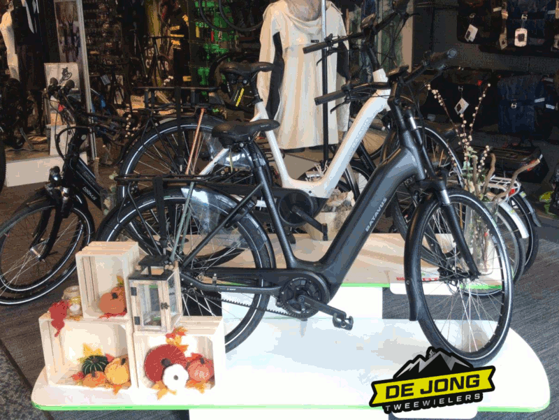 DeJongTweewielers